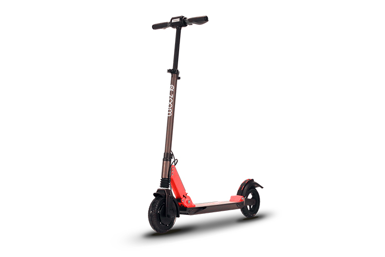 The Zoom Stryder EX WalkSmart